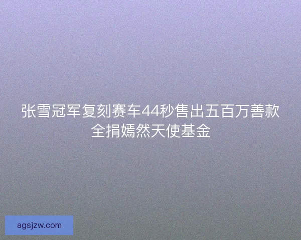 张雪冠军复刻赛车44秒售出五百万善款全捐嫣然天使基金 张雪冠军复刻赛车44秒售出五百万善款全捐嫣然天使基金