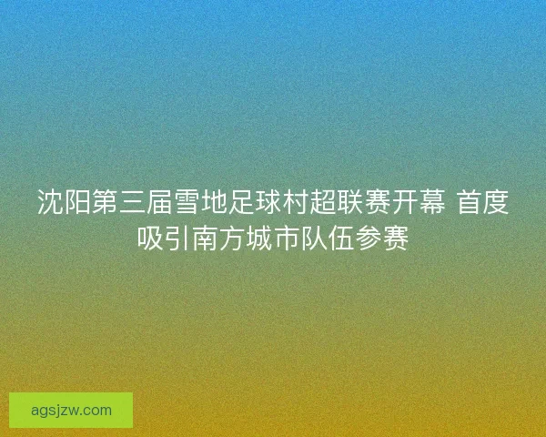 沈阳第三届雪地足球村超联赛开幕 首度吸引南方城市队伍参赛